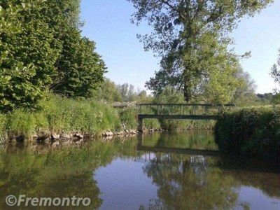 Holiday park Behindertenunterkunft in einem Ferienpark - Environment photo 16