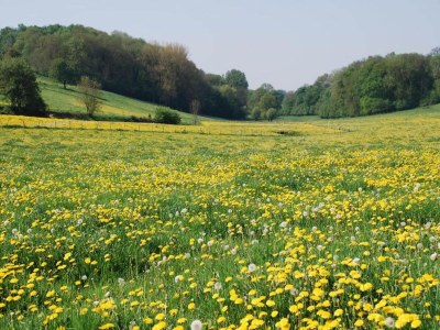 Holiday park Behindertenunterkunft in einem Ferienpark - Environment photo 19