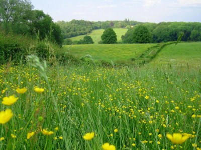 Holiday park Besondere Lodge mit toller Aussicht in Gulpen - Environment photo 12