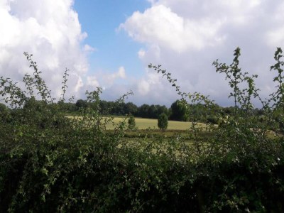 Holiday park Besondere Lodge mit toller Aussicht in Gulpen - Environment photo 18