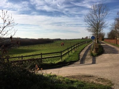 Holiday park Besondere Lodge mit toller Aussicht in Gulpen - Environment photo 25