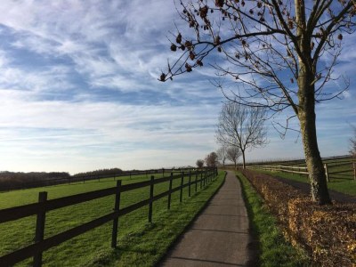 Holiday park Besondere Lodge mit toller Aussicht in Gulpen - Environment photo 27