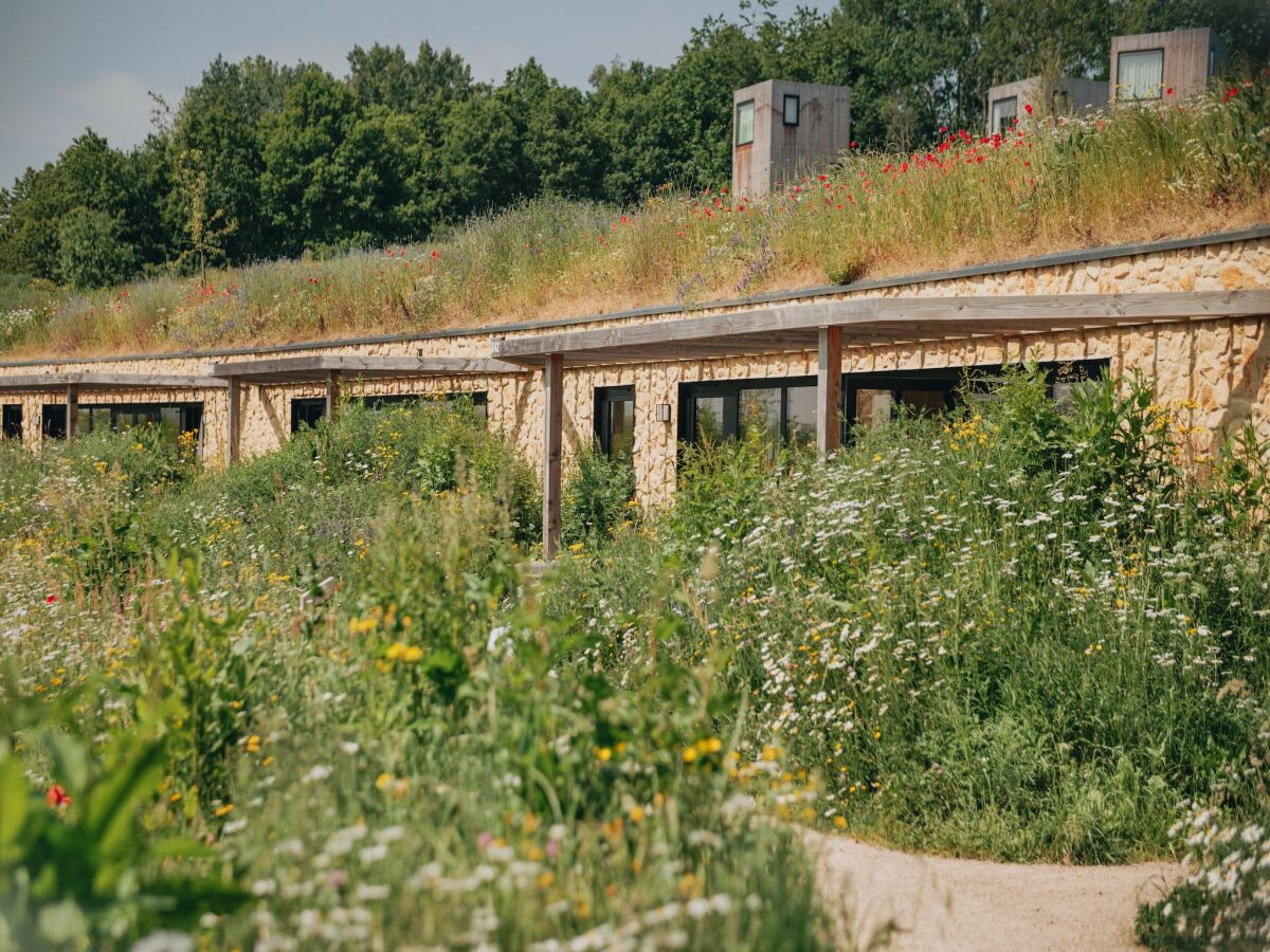 Holiday park Charmante Lodge für 4 in Gulpen - Outdoor photo 4