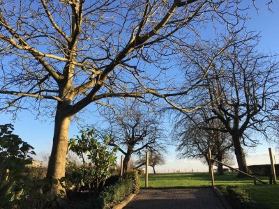 Holiday park Charmante Lodge für 4 in Gulpen - Environment photo 18