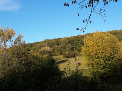Holiday park Wunderschöne Lodge in Gulpen mit toller Aussicht - Environment photo 19