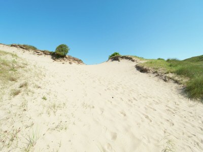 Holiday park Bloemendaal Beach Escape - Environment photo 24