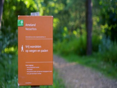 Holiday park Chic Sea Lodge Near Beach - Environment photo 14