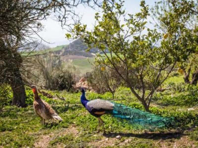 Holiday house Holiday Home in Villanueva near El Torcal Park - Environment photo 21