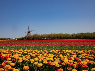 Holiday park Lodge in Callantsoog nahe Nordseestrand - Environment photo 15