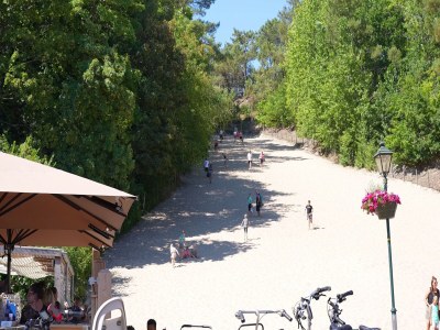 Holiday park Lodge in Callantsoog nahe Nordseestrand - Environment photo 22