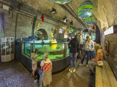 Holiday park Lodge in Callantsoog nahe Nordseestrand - Environment photo 26