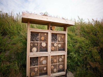 Holiday park Lodge in Callantsoog nahe Nordseestrand - Outdoor photo 32