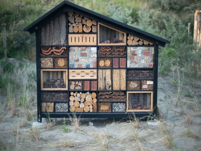 Holiday park Sea Lodge in Zandvoort near Beach - Outdoor photo 21