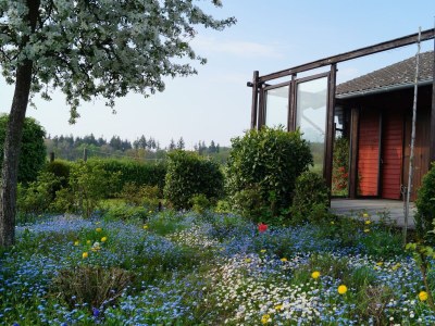 Apartment Ferienhaus, Dusche und Bad, WC, 1 Schlafraum in Reidenhausen - Apartment