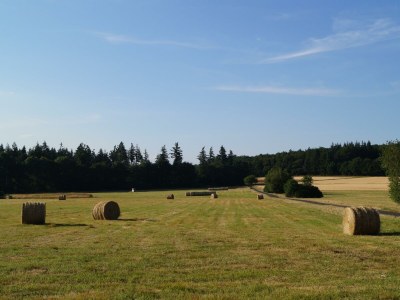 Apartment Ferienhaus, Dusche und Bad, WC, 1 Schlafraum - Features photo 10