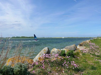 Apartment Ferienwohnung direkt am Hafen in Fehmarn-Orth - Environment photo 12
