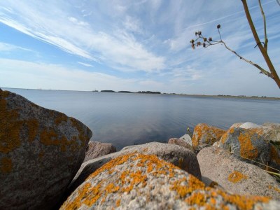 Apartment Ferienwohnung direkt am Hafen in Fehmarn-Orth - Environment photo 15