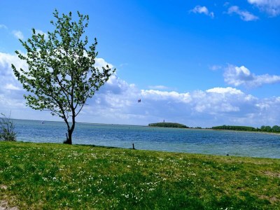 Apartment Ferienwohnung direkt am Hafen in Fehmarn-Orth - Environment photo 18