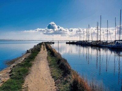 Apartment Ferienwohnung direkt am Hafen in Fehmarn-Orth - Environment photo 20