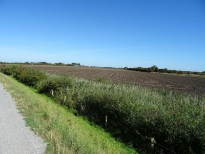 Apartment Ferienwohnung direkt am Hafen in Fehmarn-Orth - Environment photo 23