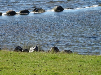 Apartment Ferienwohnung direkt am Hafen in Fehmarn-Orth - Environment photo 24
