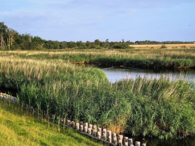 Apartment Ferienwohnung direkt am Hafen in Fehmarn-Orth - Environment photo 26