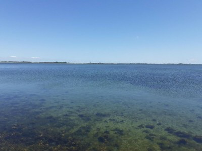 Apartment Ferienwohnung direkt am Hafen in Fehmarn-Orth - Environment photo 29