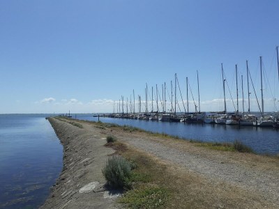 Apartment Ferienwohnung direkt am Hafen in Fehmarn-Orth - Environment photo 32