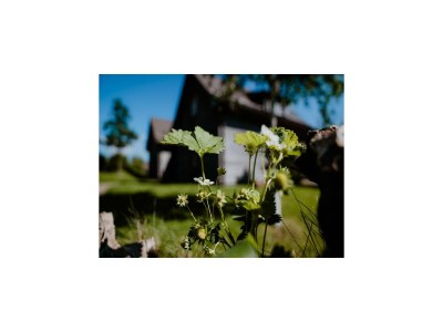 Holiday park Ferienhäuser im Torfhaus Harzresort, Torfhaus - Outdoor photo 13