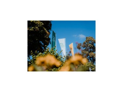 Holiday park Ferienhäuser im Torfhaus Harzresort, Torfhaus - Outdoor photo 15