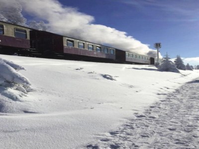 Holiday park Ferienhäuser im Torfhaus Harzresort, Torfhaus - Environment photo 39