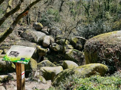 Holiday house Steinhaus in Huelgoat, Bretagne - Environment photo 24
