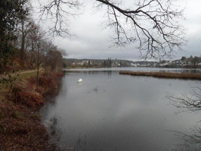 Holiday house Steinhaus in Huelgoat, Bretagne - Environment photo 25