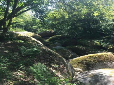 Holiday house Steinhaus in Huelgoat, Bretagne - Environment photo 30