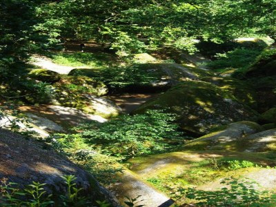 Holiday house Steinhaus in Huelgoat, Bretagne - Environment photo 31