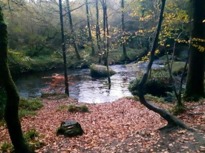 Holiday house Steinhaus in Huelgoat, Bretagne - Environment photo 33