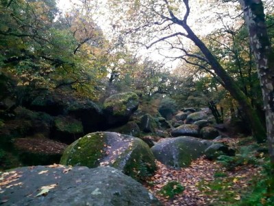 Holiday house Steinhaus in Huelgoat, Bretagne - Environment photo 34