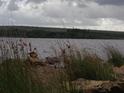 Holiday house Steinhaus in Huelgoat, Bretagne - Environment photo 36