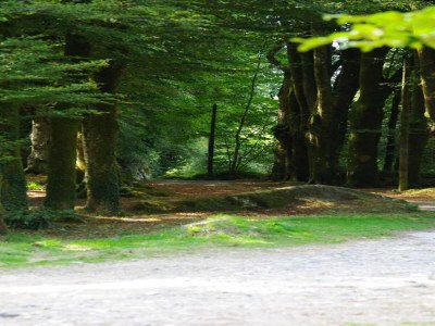 Holiday house Steinhaus in Huelgoat, Bretagne - Environment photo 37
