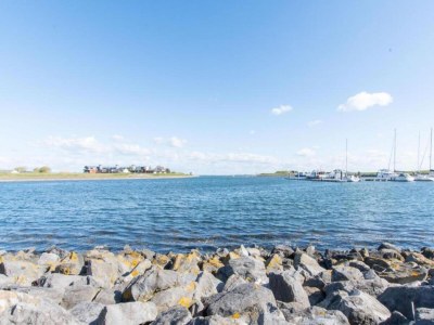 Holiday park Ferienhaus in Zeeland mit Garten - Environment photo 28