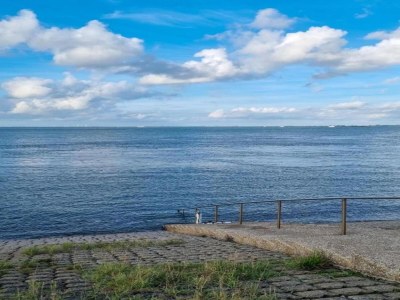 Holiday park Holiday Home in Zeeland near the Sea - Environment photo 22