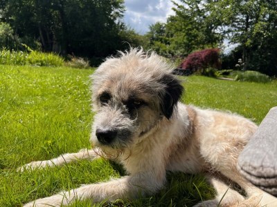 Holiday house Auszeit auf dem Berghof - Features photo 36