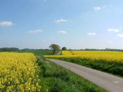 Holiday house Auszeit auf dem Berghof - Environment photo 39