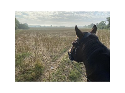 Holiday house Auszeit auf dem Berghof - Environment photo 40