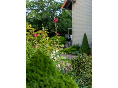 Holiday apartment Karolinengarten - Outdoor photo 10