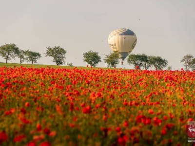 Holiday apartment Karolinengarten - Environment photo 37