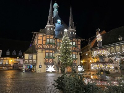 Holiday apartment Karolinengarten - Environment photo 40