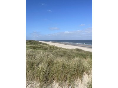 Holiday house Luxury Holiday Home - Environment photo 29