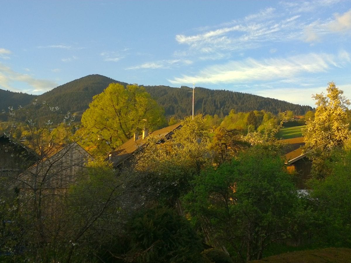 Holiday apartment Margit Daum - Outdoor photo 5