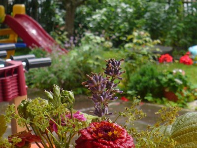 Holiday apartment Margit Daum - Outdoor photo 2